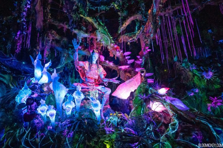 Dream Forest Лангкави