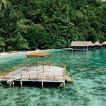 Геопарк Лангкави: мангровые леса и экскурсии Kilim Geoforest 6